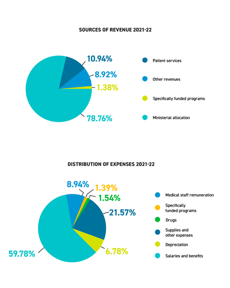 Financial data as pie chart