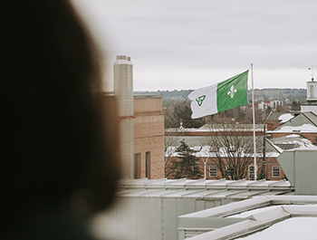 Silhouette portant le regard sur le drapeau franco-ontarien